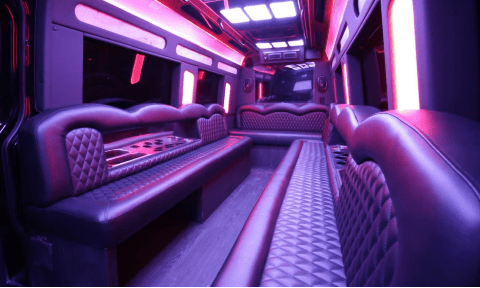 Troy 14 Passenger Sprinter Bus Interior