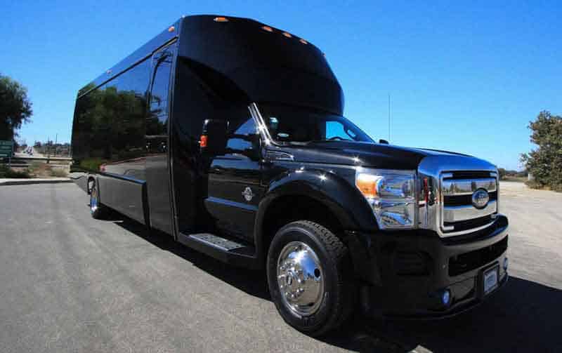 Detroit 30 Passenger Party Bus Black